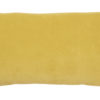 Coussin uni Elise Absynthe 40 X 65