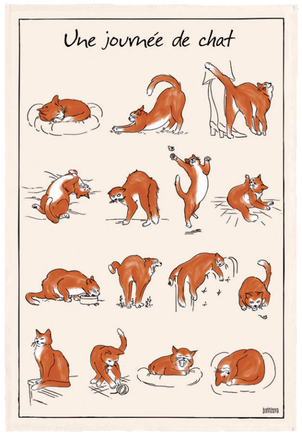 Torchon Imprime Journée de Chat Ecru 48 X 72 Torchons La Vallée du blanc