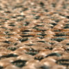 Tapis Elliot Fougère diamètre 160 cm – Image 3