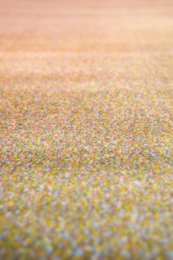 Tapis Caro Multicolore 200 x 290 Tapis La Vallée du blanc