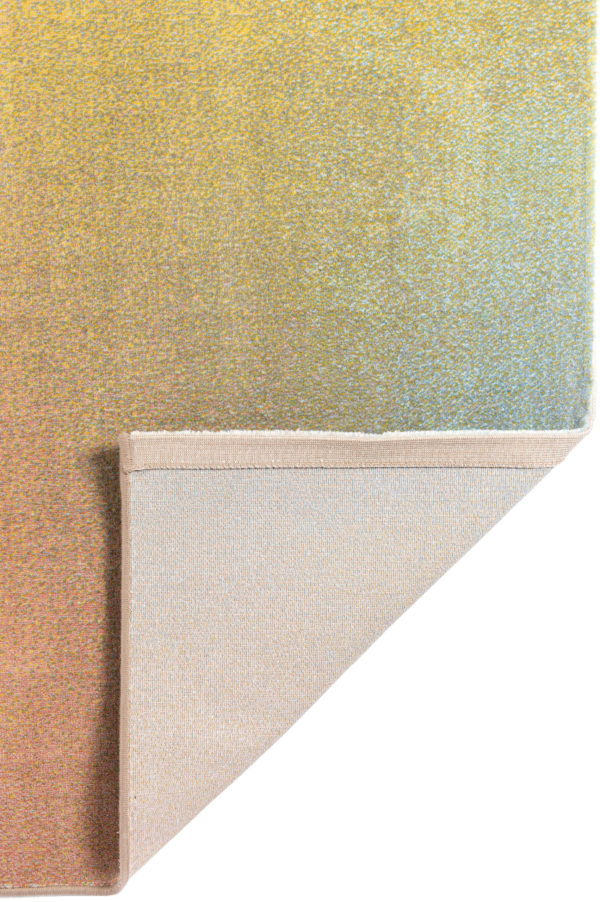 Tapis Caro Multicolore 200 x 290 Tapis La Vallée du blanc