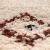 Tapis Elias 2 Naturel 160 x 230 x 3 cm – Image 4