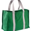 Sac daily Iona Gazon 25 x 38 x 15 – Image 3