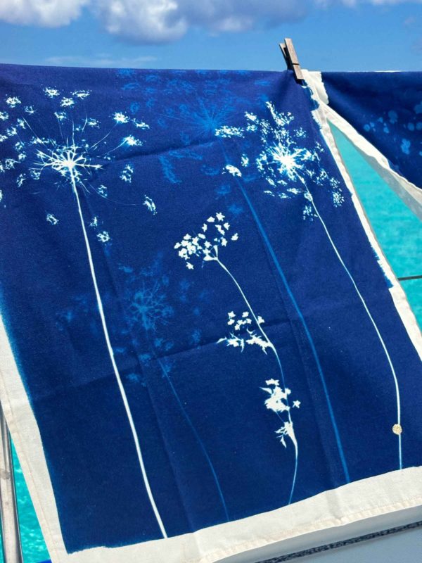 Torchon Fleurs de carotte Bleu 70 x 50 Torchons La Vallée du blanc