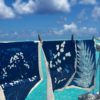 Torchon Fleurs de carotte Bleu 70 x 50 – Image 5